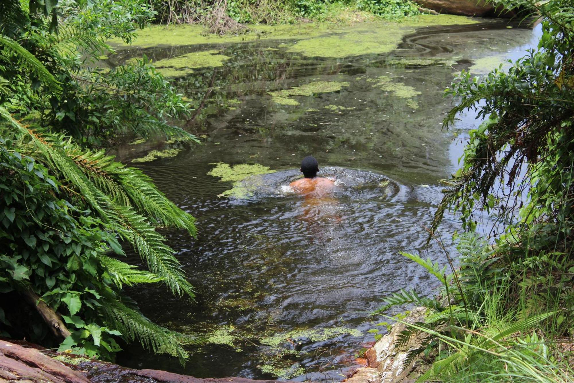 סטורמסריבייר Misty Mountain Reserve מראה חיצוני תמונה